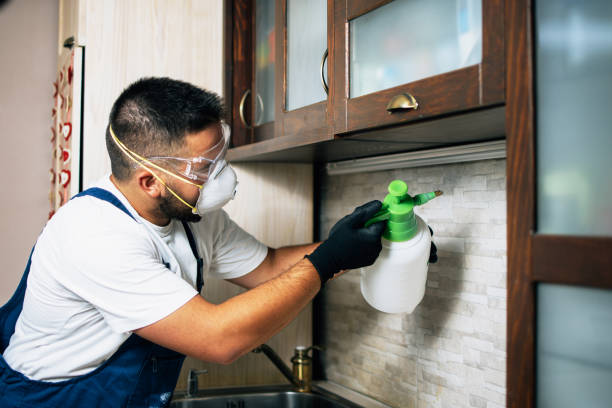 Best Bed Bug Extermination  in Burnettown, SC