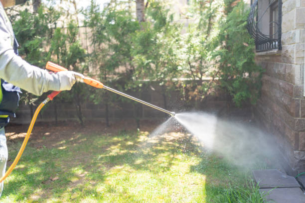 Best Mosquito Control Services  in Burnettown, SC